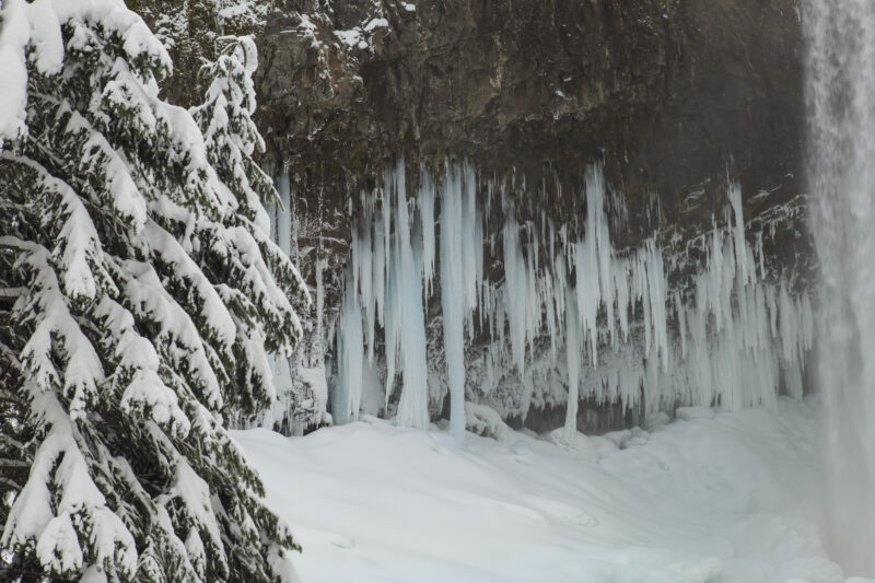 Trail Review: Winter Style Hike to a Frozen Tamanawas Falls (4 miles / 600′ / 2+ hours)